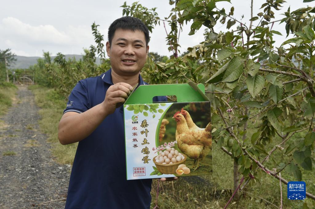 k178捕鱼游戏官方